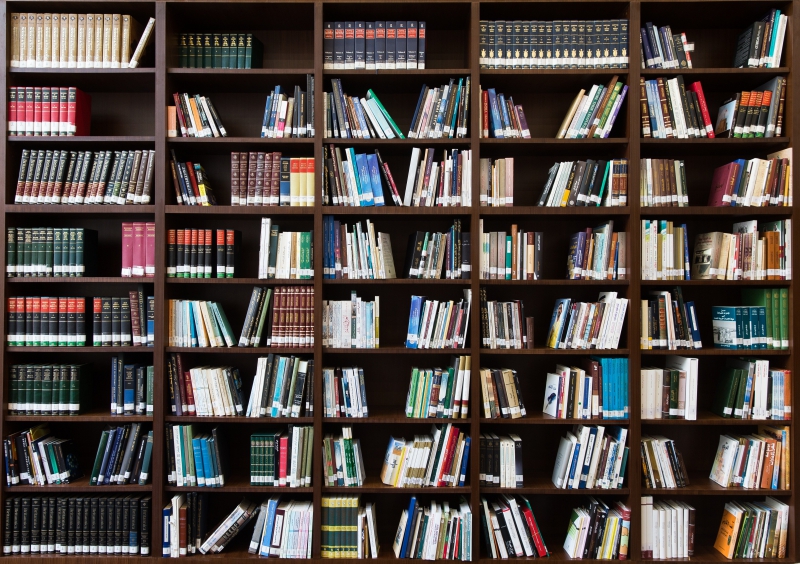 magasin-TOURNEFORT-min_books-2463779